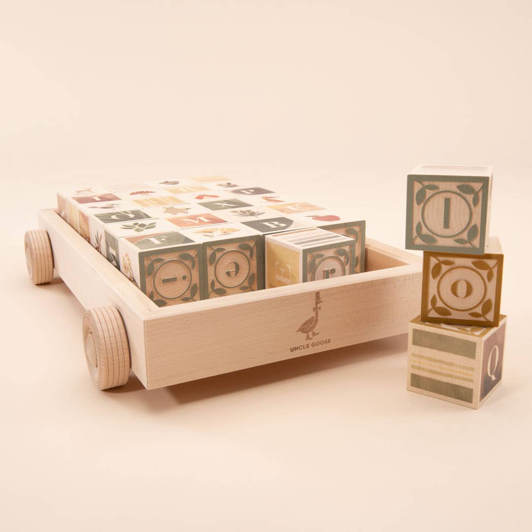 Close-up of watercolor-style embossed lowercase letters on Uncle Goose ABC blocks