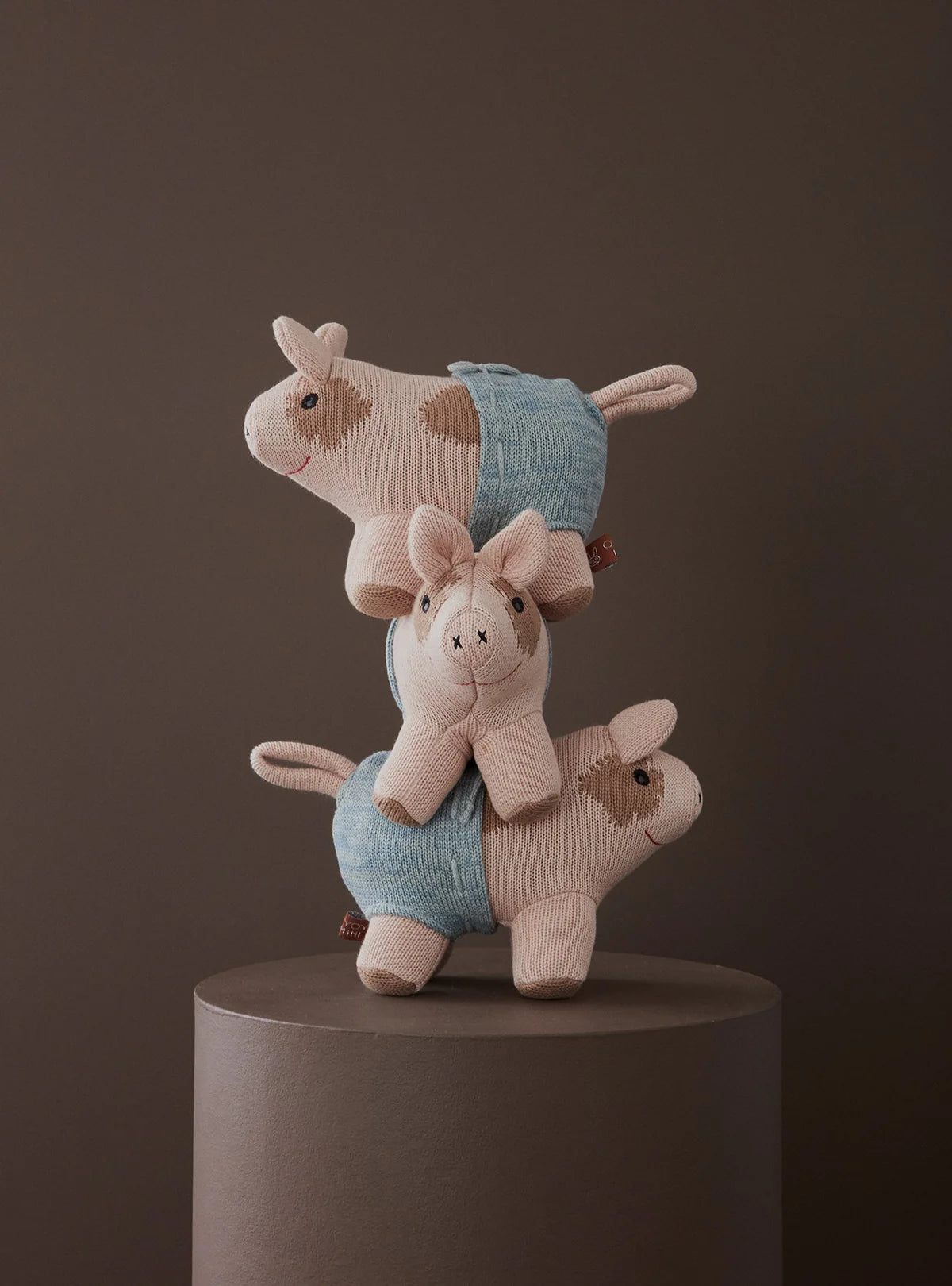 Hugo Mini Pig – Rose