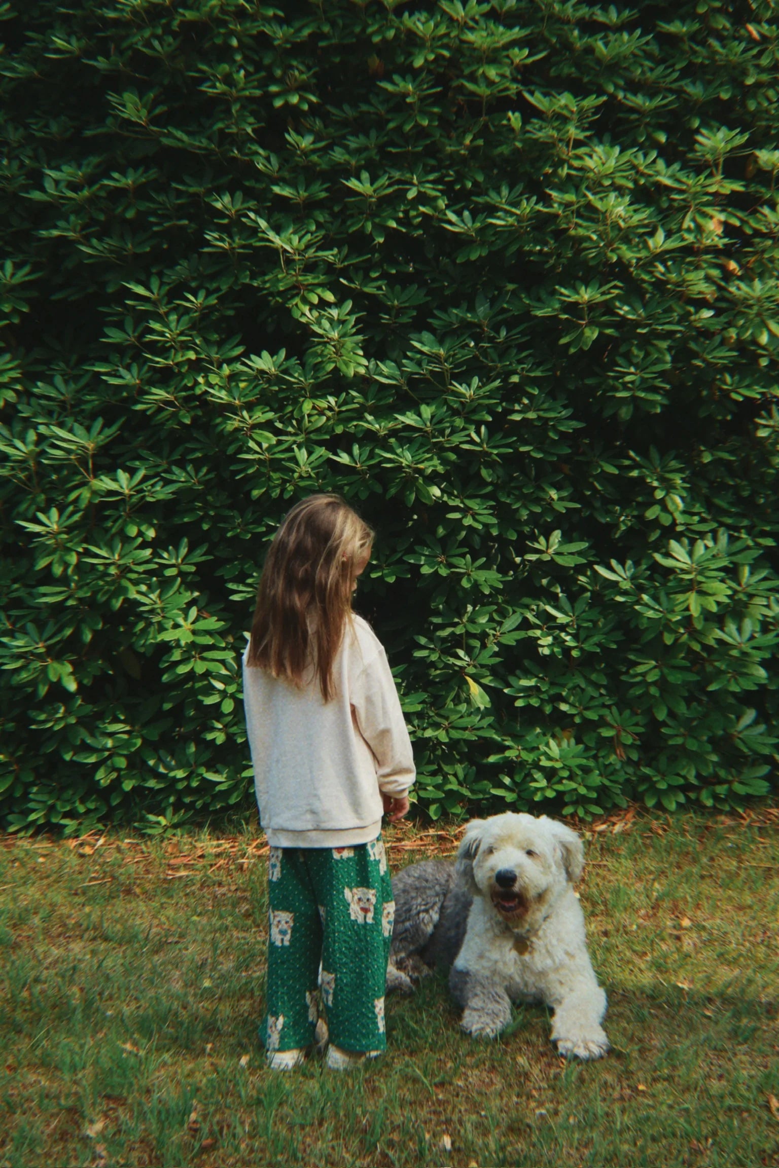 Cats and Dogs Polo – Konges Sløjd (image 5)