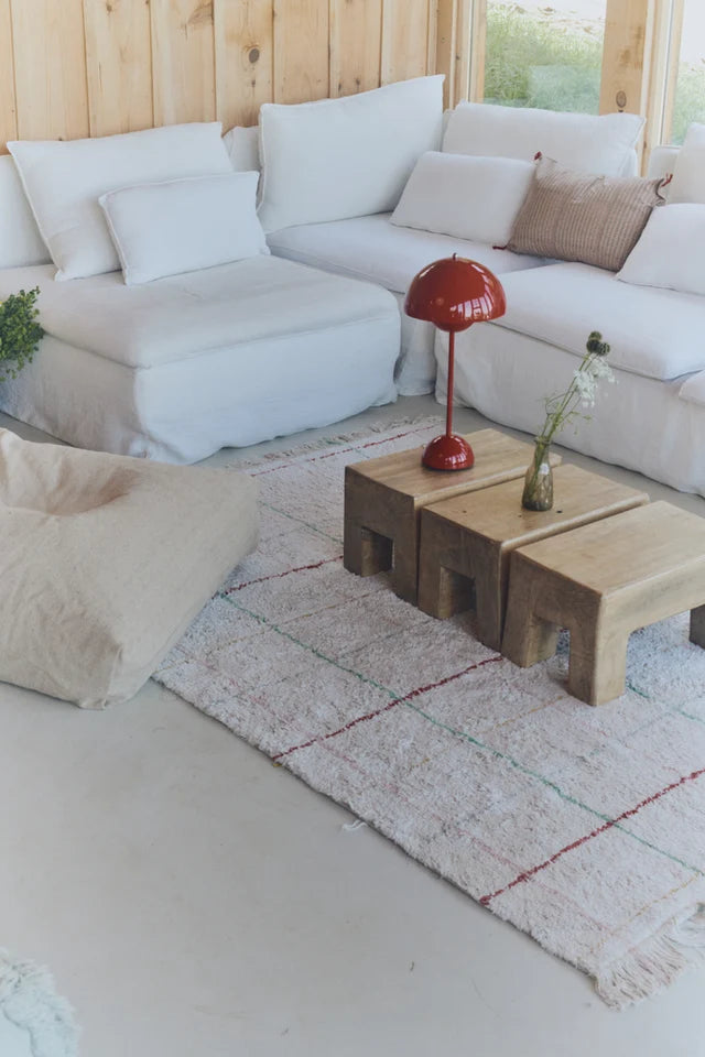 Washable Area Rug Color Lines by Lorena Canals paired with matching decor