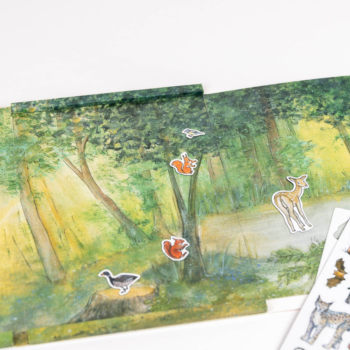 Magnetic Activity Game Forest – Egmont, view 6