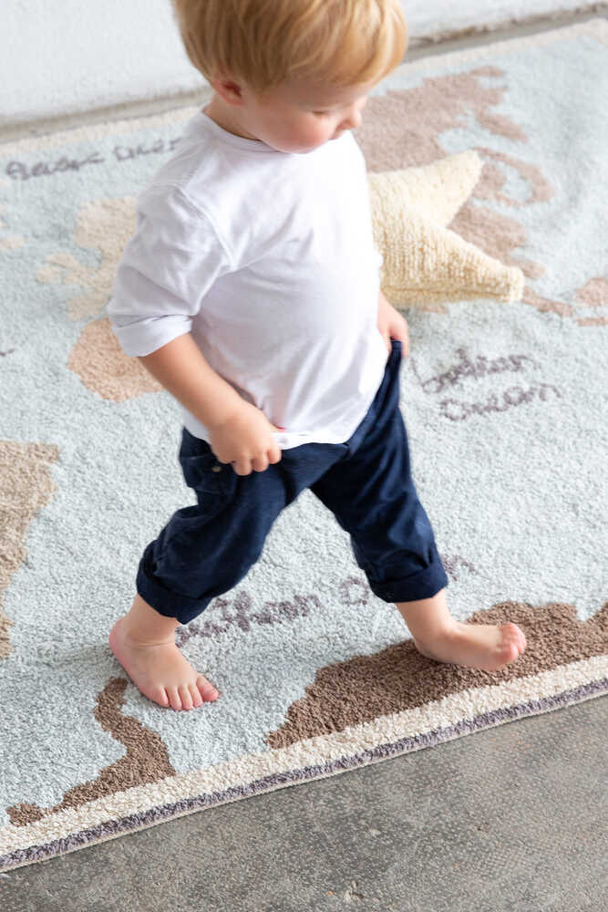Washable Area Rug Vintage Map – Lorena Canals
