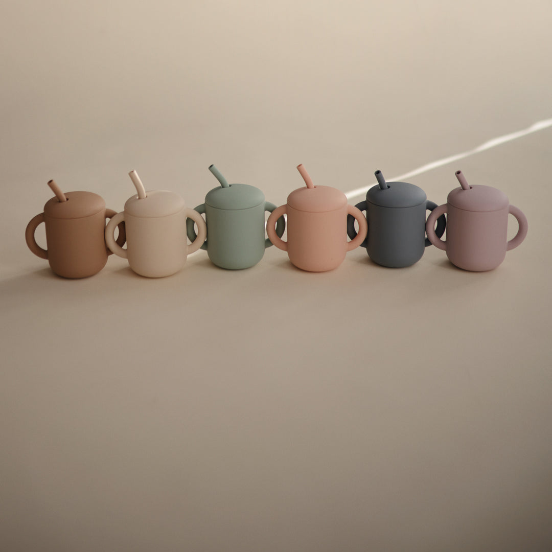 Silicone Training Cup + Straw – Mushie