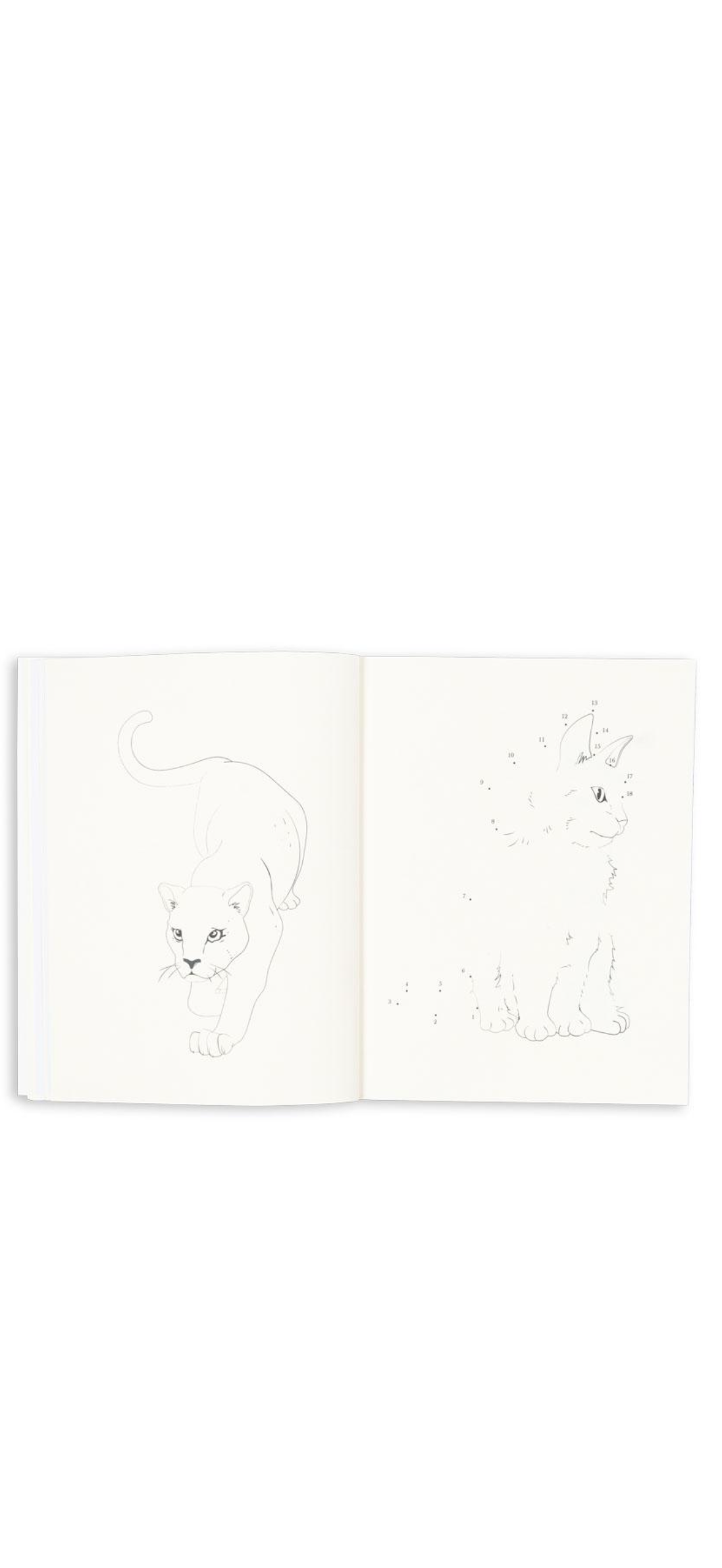 The item is not available for this order type