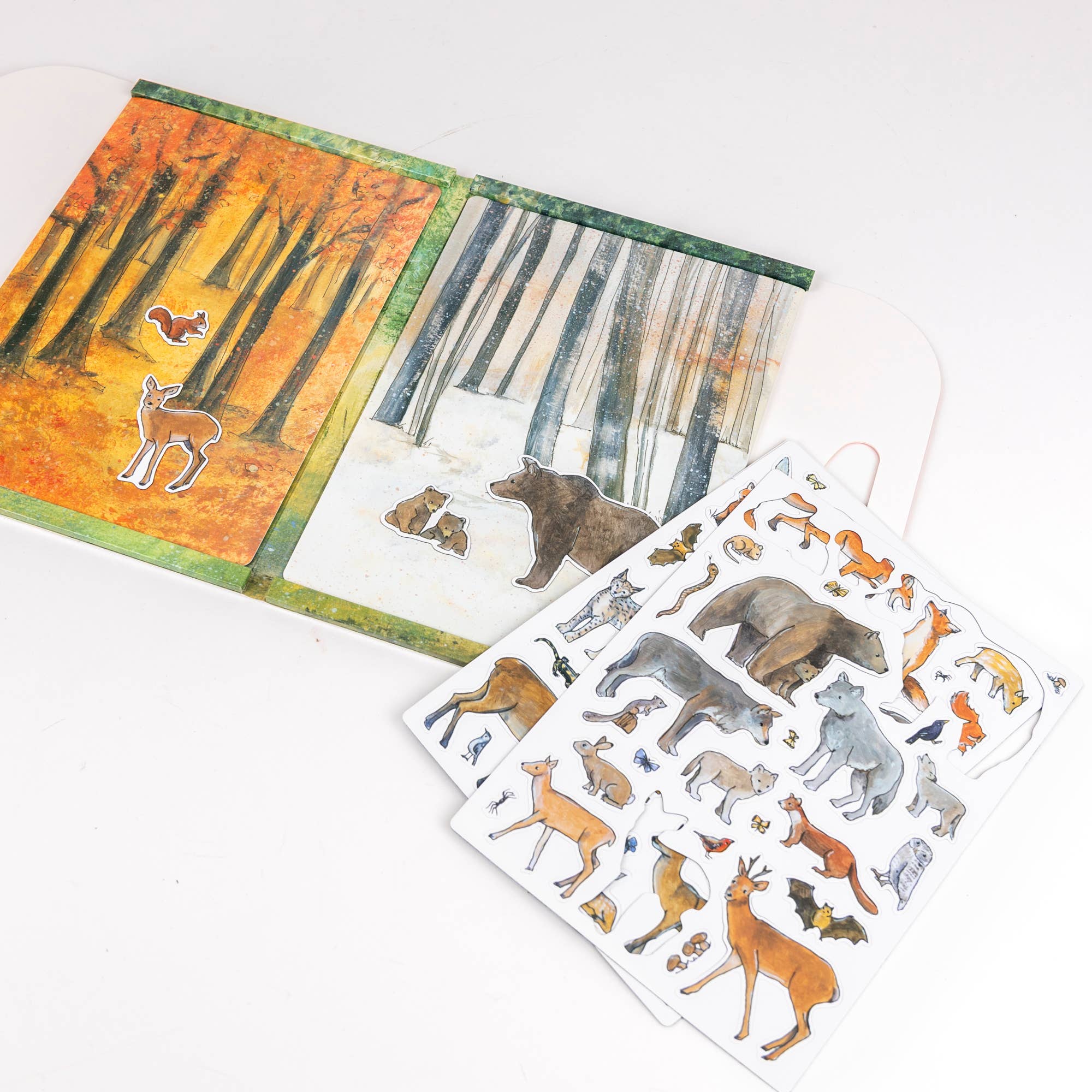 Magnetic Activity Game Forest – Egmont, view 2