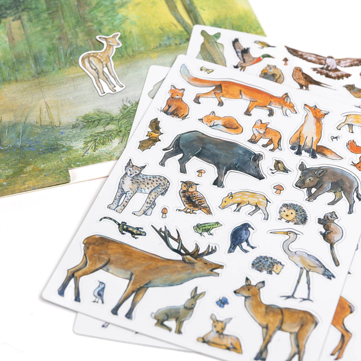 Magnetic Activity Game Forest – Egmont, view 7