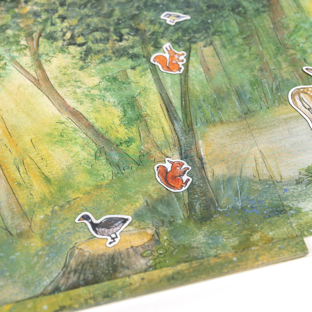Magnetic Activity Game Forest – Egmont, view 9