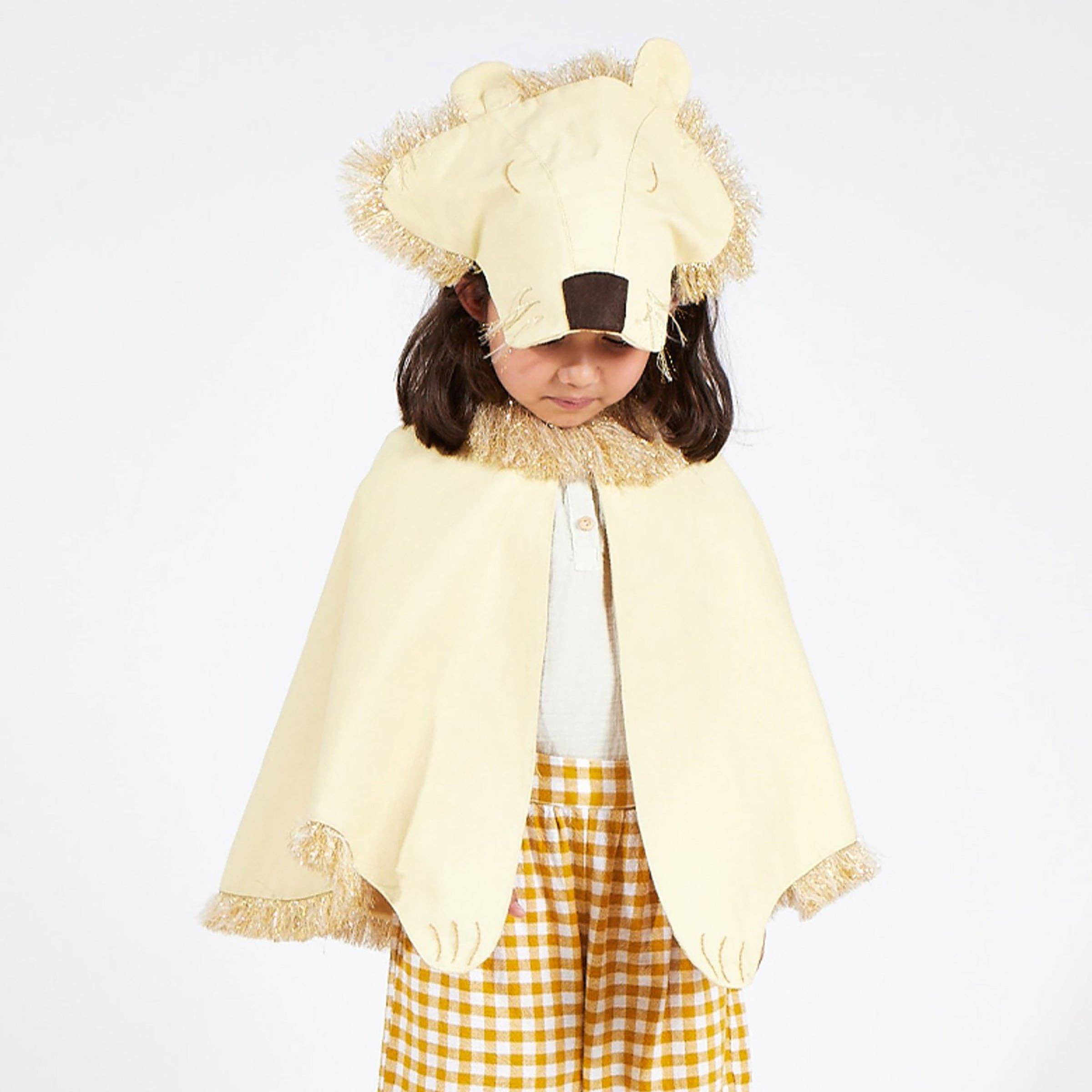 Lion Costume detail