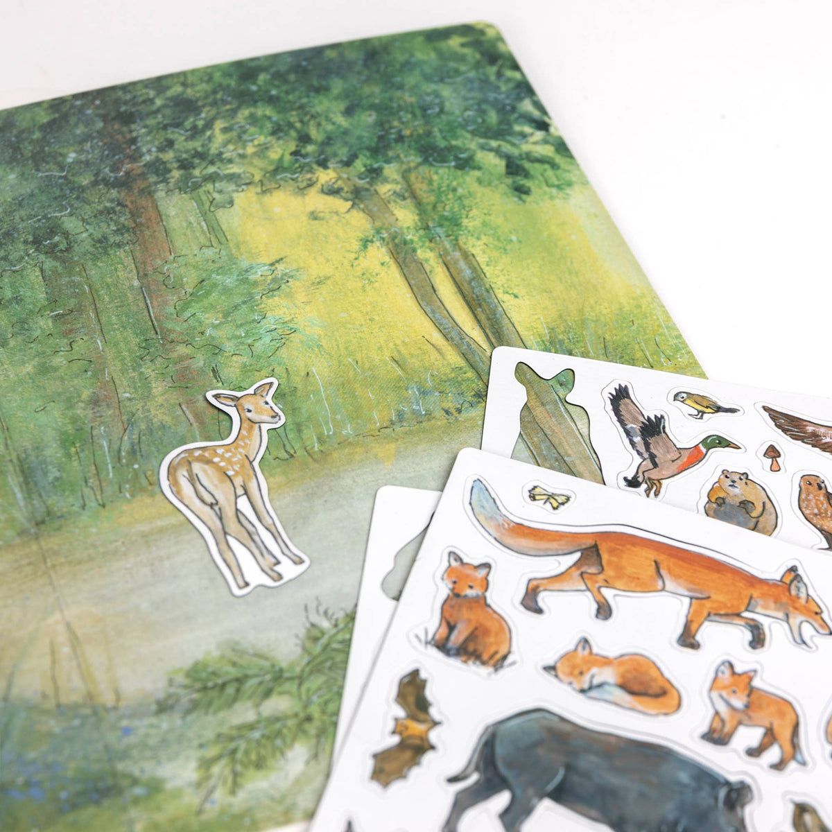 Magnetic Activity Game Forest – Egmont, view 10