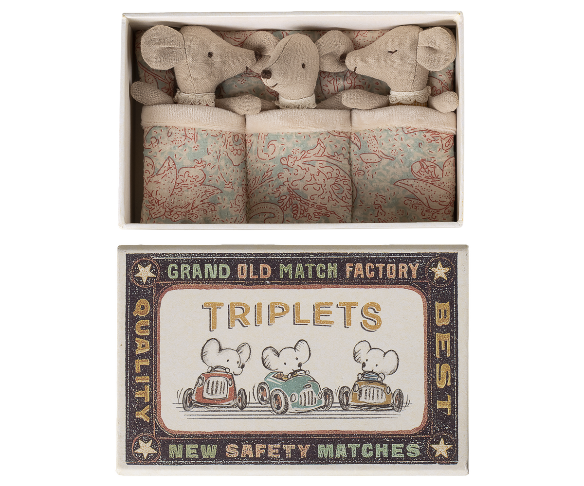 Triplets, Baby Mice in Matchbox box