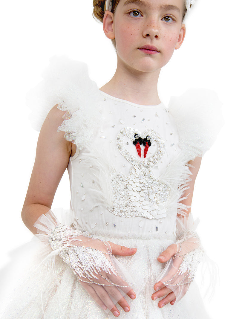 Tutu du Monde Swan Lake Dress for Girls