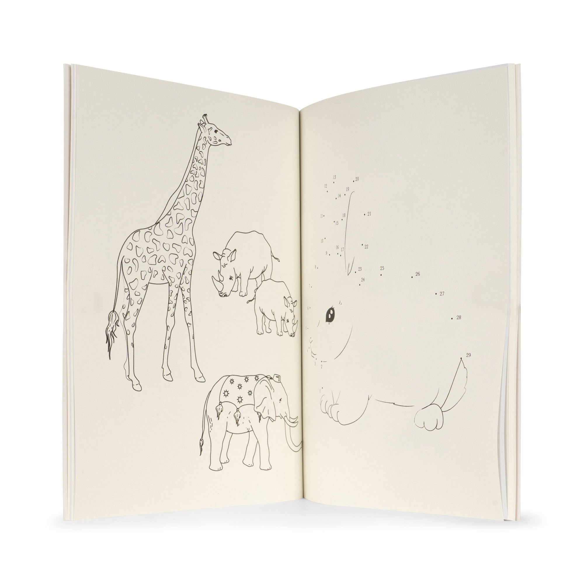 My Activity Book with Color Pencil – Konges Sløjd