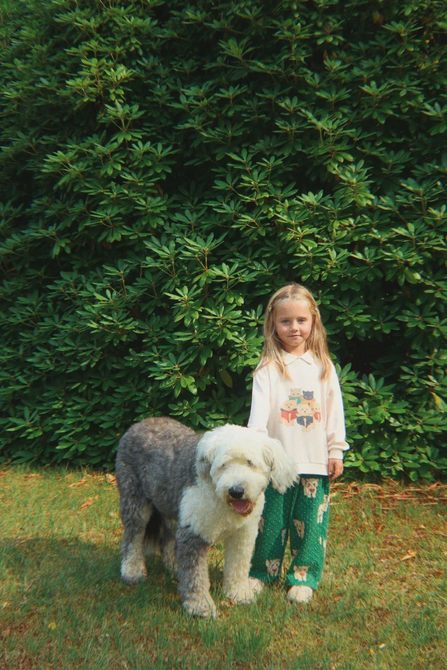 Cats and Dogs Polo – Konges Sløjd (image 3)