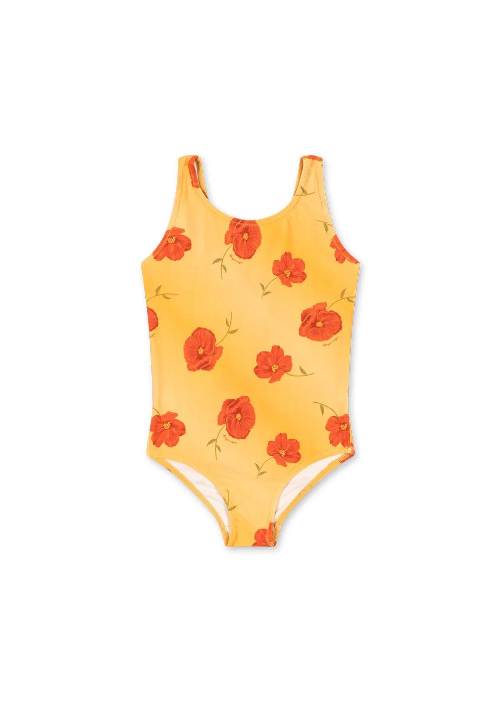 abria swimsuit