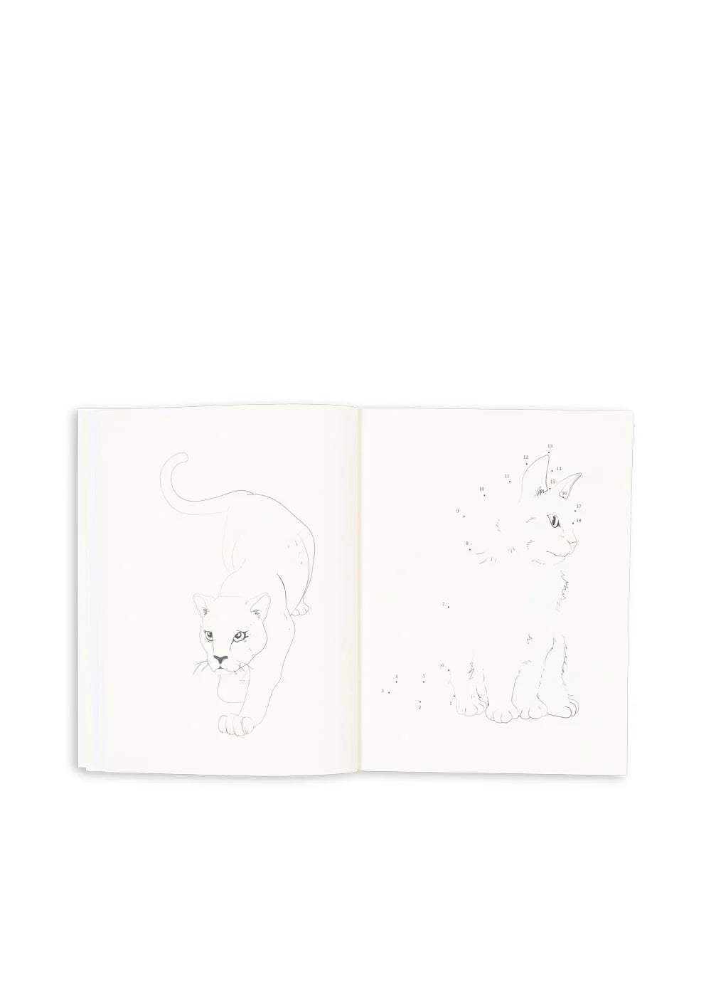 ACTIVITY BOOK WITH COLOURING PENCILS