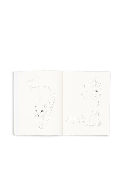 ACTIVITY BOOK WITH COLOURING PENCILS