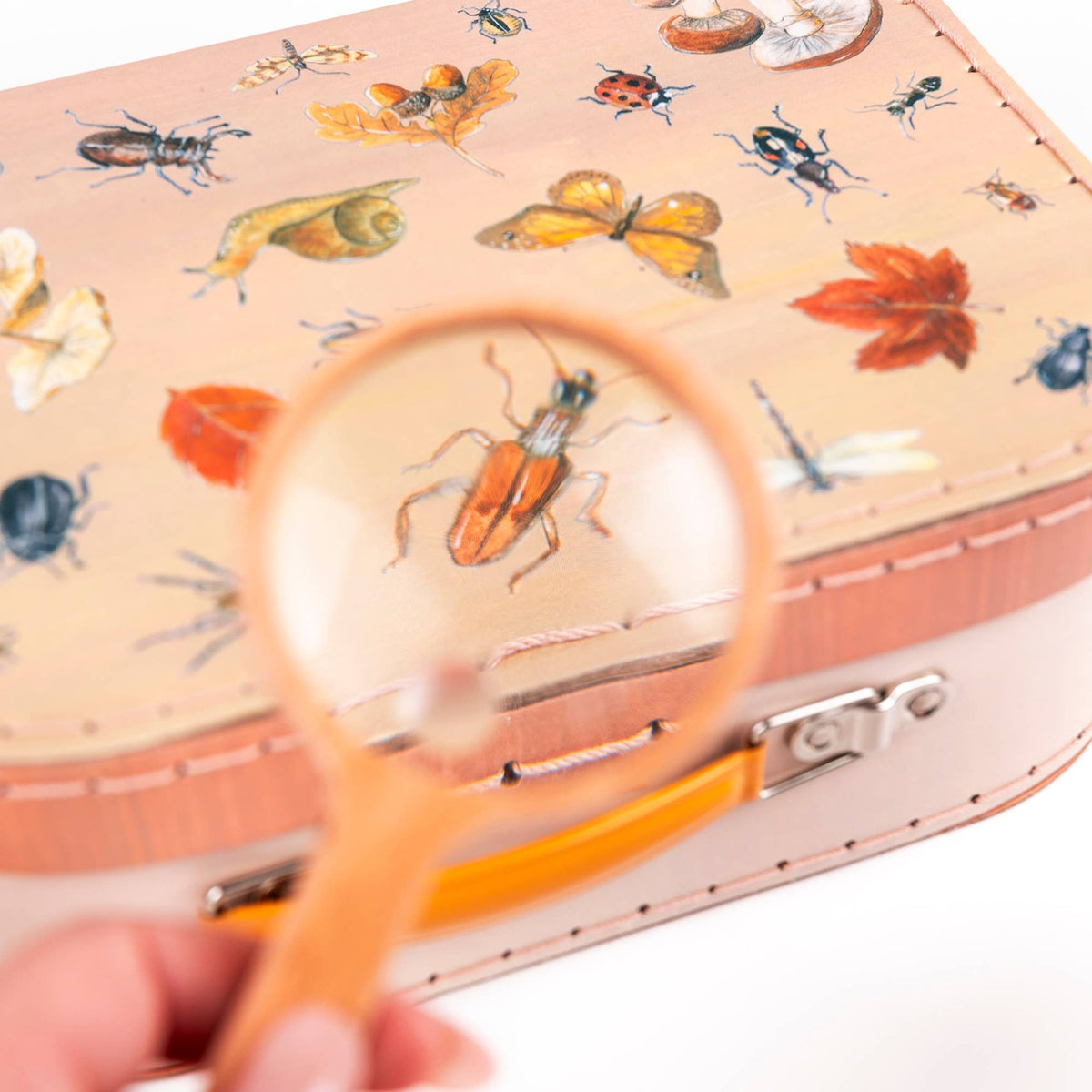 Explorer Kit – Egmont, view 8