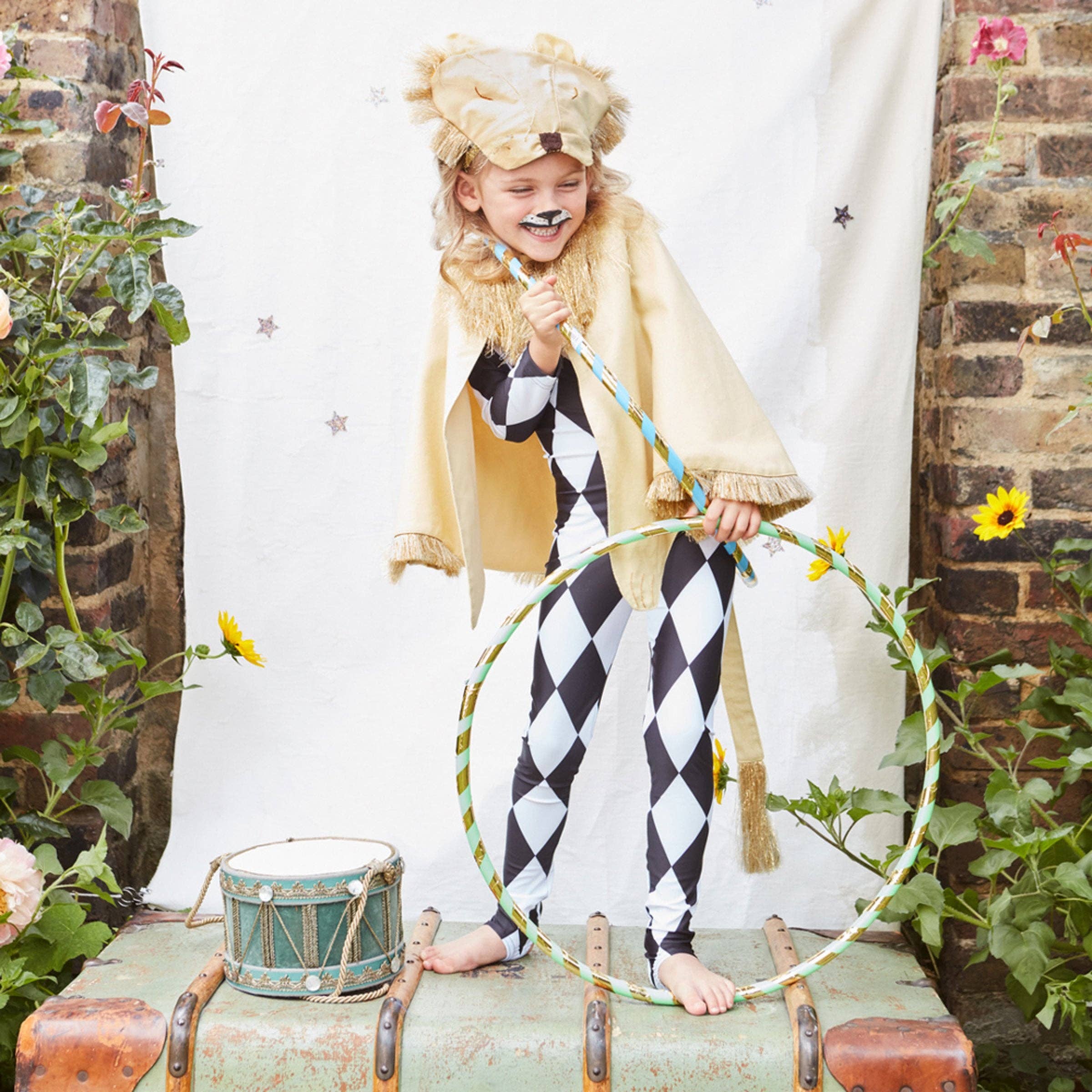 Lion Costume worn