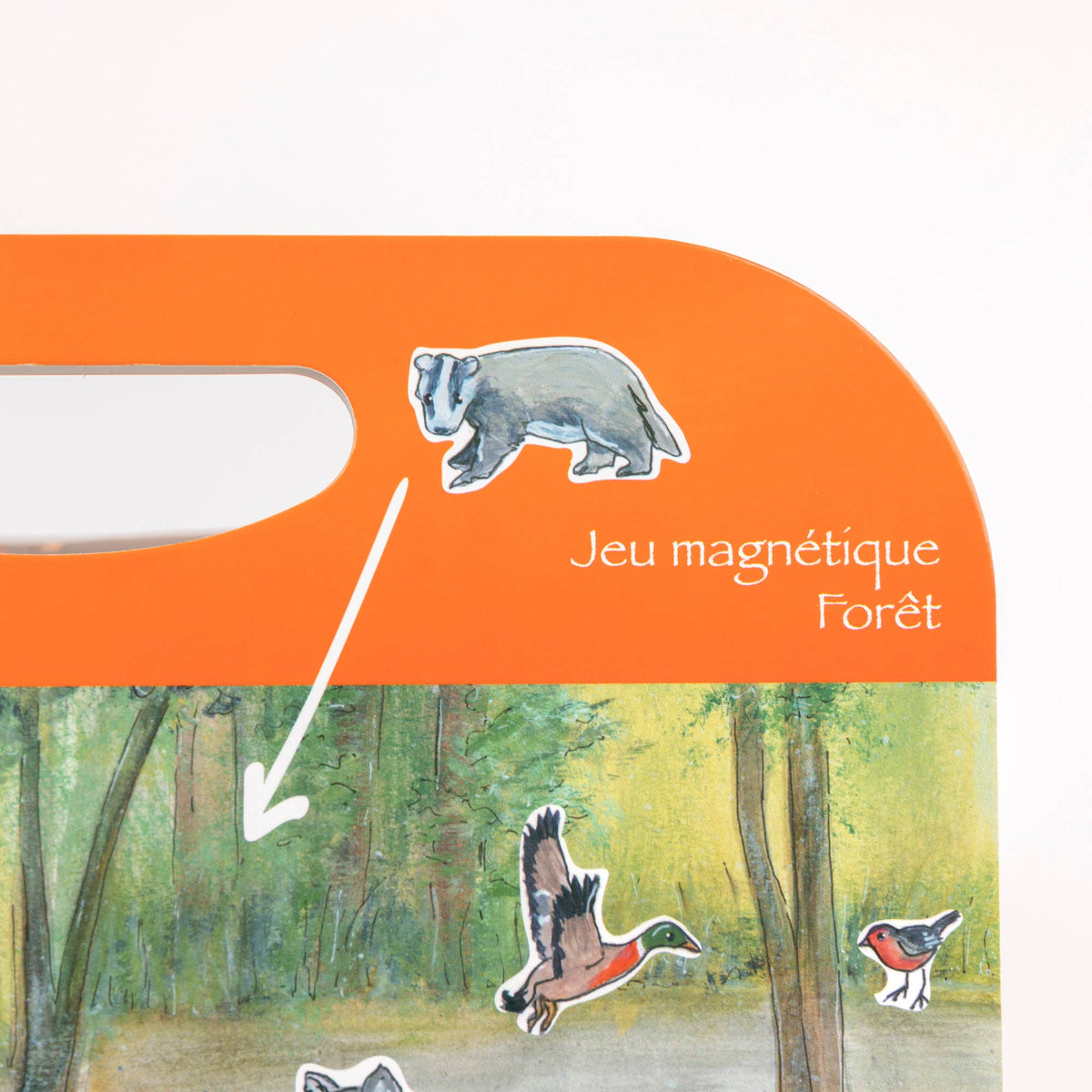 Magnetic Activity Game Forest – Egmont, view 12
