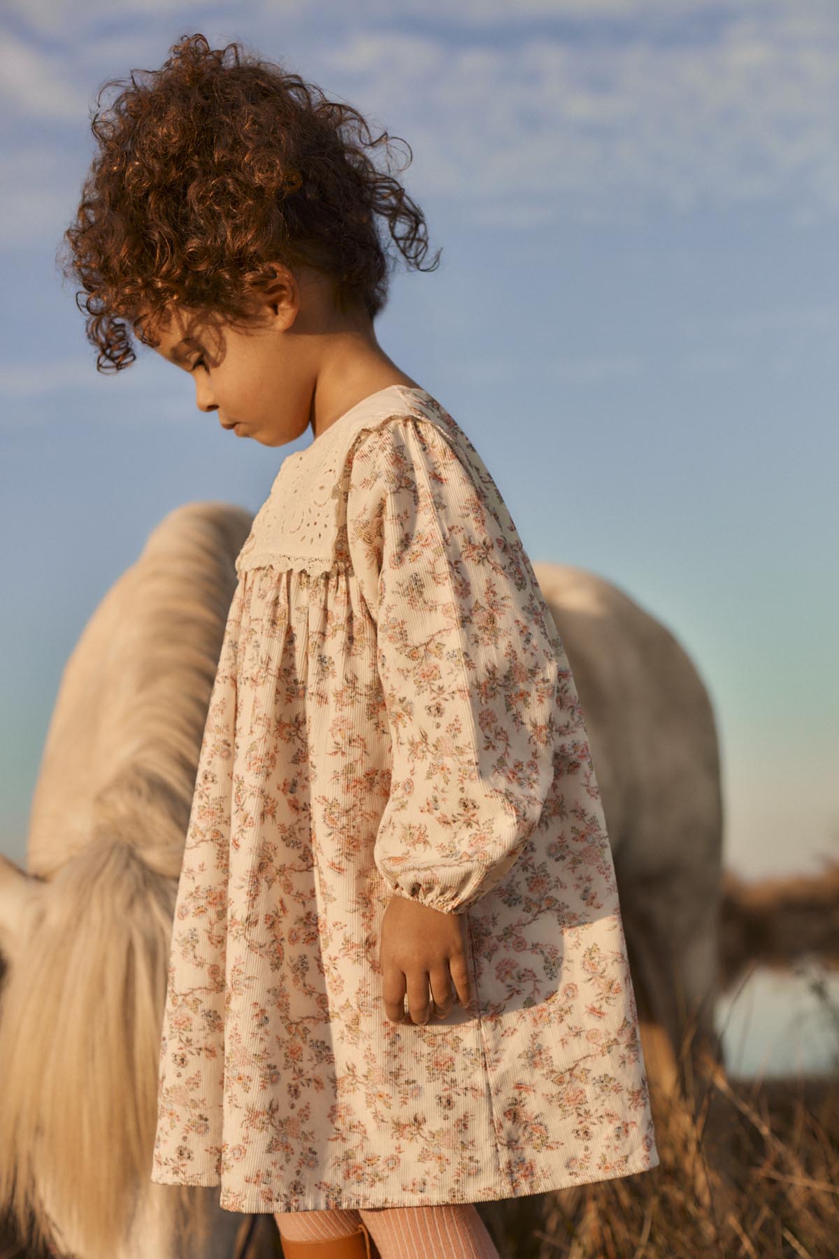 Louise Misha Arinola Floral Velvet Dress in Cream Carnation Vale, image 4 of 6