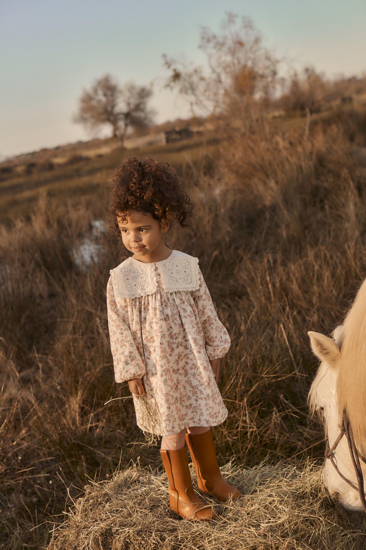 Dress Arinola Cream Carnation Vale – Louise Misha