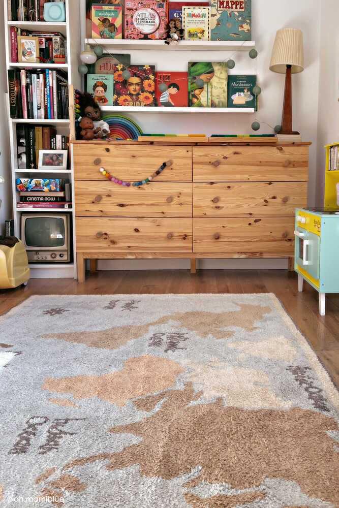 Washable Area Rug Vintage Map – Lorena Canals